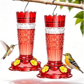 Antonki 2 Pack Plastic Hummingbird Feeders for Outdoor Hanging in Kuwait