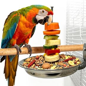 Bird Cage Feeder for Vegetable & Fruit, Parrot Fruit Holder with Dish Bowl Design to Keep Clean, No Mess Bird Food Suitable for All Parrot Breeds and Sizes. (Small) in Saudi Arabia