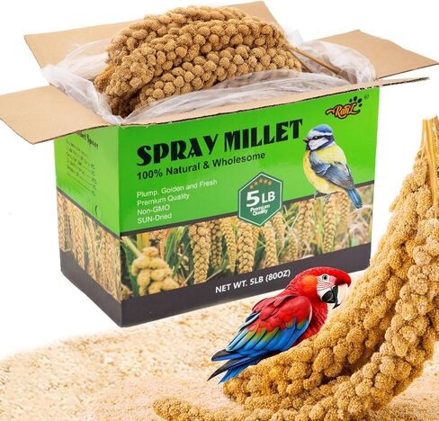 RANZ 5LB Spray Millet for Birds, Natural Sun-Dried Treat for Parakeets & Parrots in Kuwait