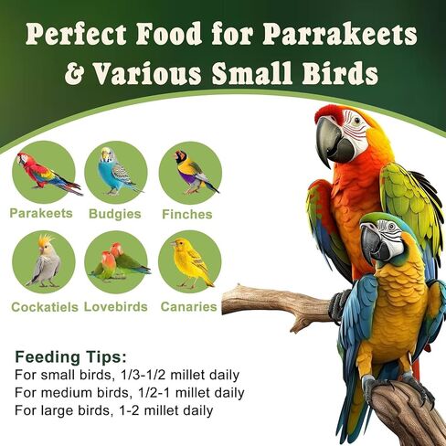 RANZ 5LB Spray Millet for Birds, Natural Sun-Dried Treat for Parakeets & Parrots in Kuwait
