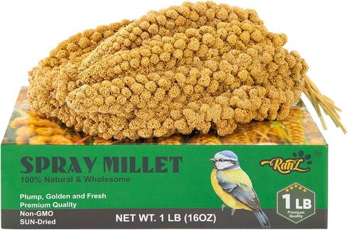 RANZ 5LB Spray Millet for Birds, Natural Sun-Dried Treat for Parakeets & Parrots in Kuwait