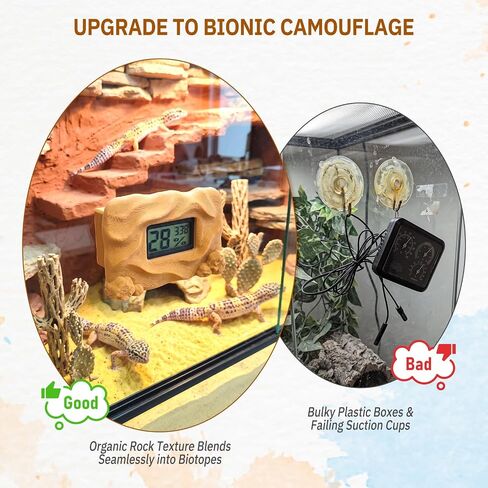 Magnetic Reptile Thermometer and Humidity Gauge，Rock in Saudi Arabia
