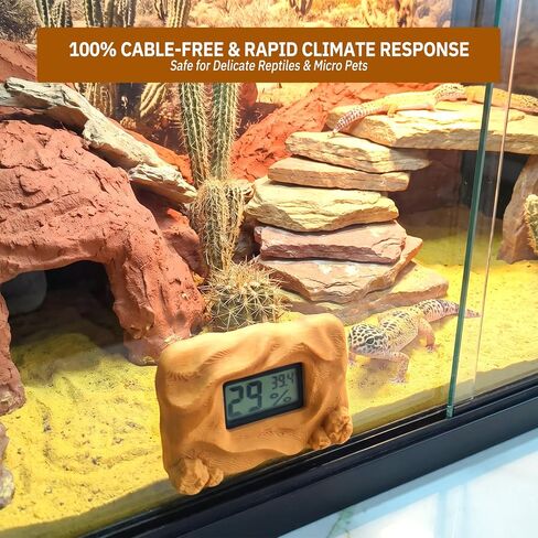 Magnetic Reptile Thermometer and Humidity Gauge，Rock in Saudi Arabia