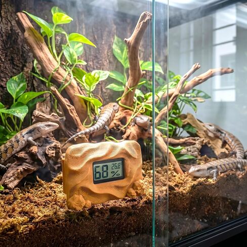 Magnetic Reptile Thermometer and Humidity Gauge，Rock in Saudi Arabia