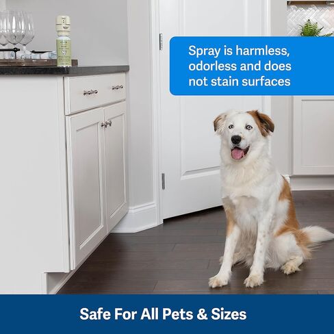 PetSafe SSSCAT Automatic Spray Pet Deterrent Replacement Can - Contactless Behavior Correction - Motion Sensor Air Burst - Only Compatible with First-Generation SSCAT Spray Deterrent System in Kuwait