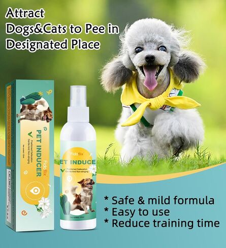 Dog Potty Training Spray for Puppies & Dogs, Dog Attractant Spray for Indoor & Outdoor Training, Pee Here Spray to Encourage Dogs to Pee in One Spot, Helps Prevent Carpet Accidents, 120ML in Kuwait