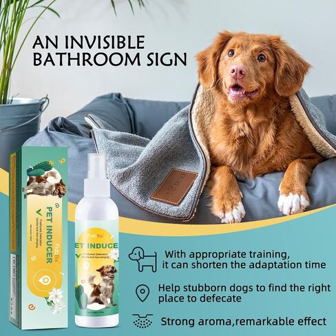 Dog Potty Training Spray for Puppies & Dogs, Dog Attractant Spray for Indoor & Outdoor Training, Pee Here Spray to Encourage Dogs to Pee in One Spot, Helps Prevent Carpet Accidents, 120ML in Kuwait