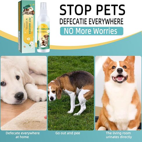 Dog Potty Training Spray for Puppies & Dogs, Dog Attractant Spray for Indoor & Outdoor Training, Pee Here Spray to Encourage Dogs to Pee in One Spot, Helps Prevent Carpet Accidents, 120ML in Kuwait