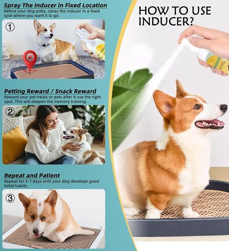 Dog Potty Training Spray for Puppies & Dogs, Dog Attractant Spray for Indoor & Outdoor Training, Pee Here Spray to Encourage Dogs to Pee in One Spot, Helps Prevent Carpet Accidents, 120ML in Kuwait