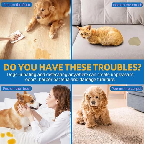 Dog Potty Training Spray,Go Here Potty Training Indoor & Outdoor,Dog Pee Attractant Spray,Training & Behavior Aids For Dogs Cats to Pee in One Spot,Prevent Your Pet from Soiling The Carpet,120ML in Kuwait
