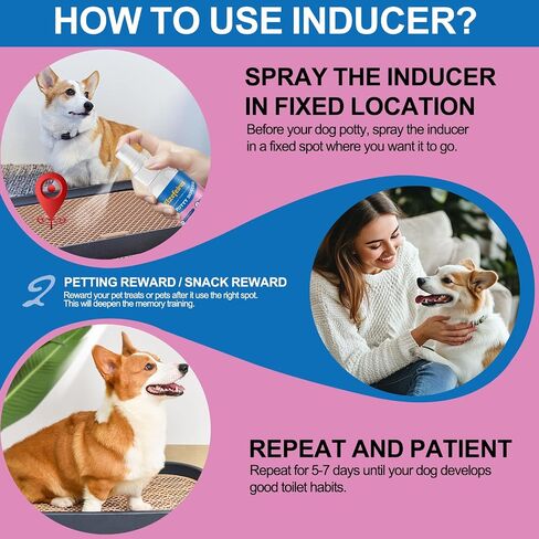 Dog Potty Training Spray,Go Here Potty Training Indoor & Outdoor,Dog Pee Attractant Spray,Training & Behavior Aids For Dogs Cats to Pee in One Spot,Prevent Your Pet from Soiling The Carpet,120ML in Kuwait
