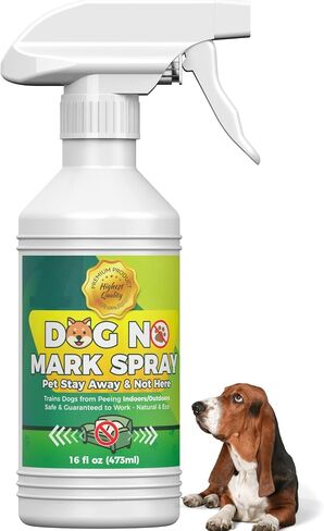 Dog No Mark House Training Spray for Indoor Use, 16 Fl Oz in Saudi Arabia