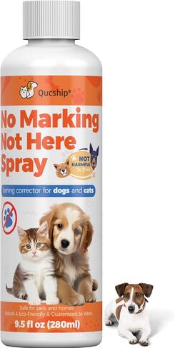 Dog House Training Spray for Fabric and Wood Areas, 9.5 Fl Oz in Saudi Arabia