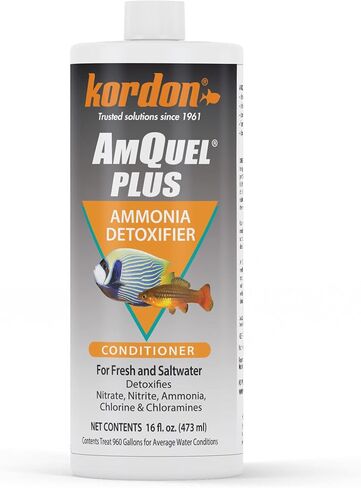 Kordon AmQuel Plus Aquarium Water Conditioner - Instantly Detoxifies Ammonia, Nitrite, Nitrate, and Chlorine Remover for Freshwater & Saltwater Aquariums, 16 Ounces in Kuwait