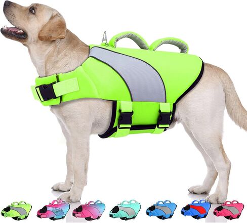 Doglay Dog Life Jacket, Swim Vest for Boating & Swimming, Green & Gray, XS in Kuwait