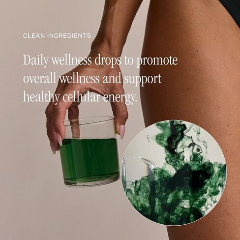 Juna Chlorophyll Liquid Drops - Antioxidant Supplement for Detox, Debloat, Internal Deodorant, Energy & Immune Support - Fresh Minty Lemon Taste in Kuwait