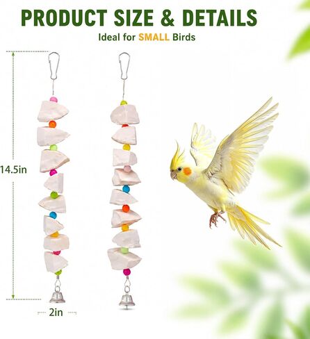2 Pack Bird Toys with Cuttlebone & Beak Grinding Stone–Cage Accessories for Parakeets, Budgies, Cockatiels, Lovebirds, Green Cheeks & Small to Medium Birds in Saudi Arabia