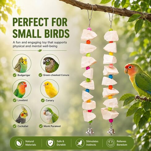 2 Pack Bird Toys with Cuttlebone & Beak Grinding Stone–Cage Accessories for Parakeets, Budgies, Cockatiels, Lovebirds, Green Cheeks & Small to Medium Birds in Saudi Arabia