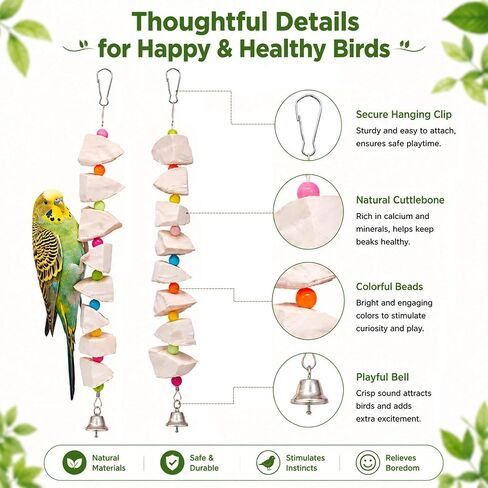 2 Pack Bird Toys with Cuttlebone & Beak Grinding Stone–Cage Accessories for Parakeets, Budgies, Cockatiels, Lovebirds, Green Cheeks & Small to Medium Birds in Saudi Arabia