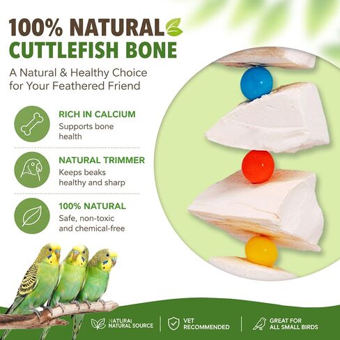 2 Pack Bird Toys with Cuttlebone & Beak Grinding Stone–Cage Accessories for Parakeets, Budgies, Cockatiels, Lovebirds, Green Cheeks & Small to Medium Birds in Saudi Arabia