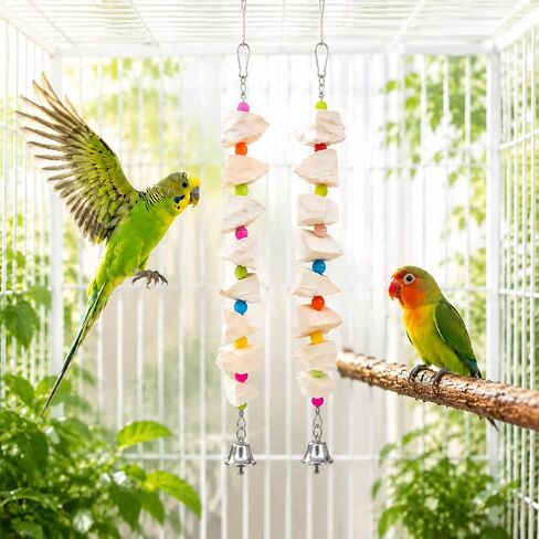 2 Pack Bird Toys with Cuttlebone & Beak Grinding Stone–Cage Accessories for Parakeets, Budgies, Cockatiels, Lovebirds, Green Cheeks & Small to Medium Birds in Saudi Arabia