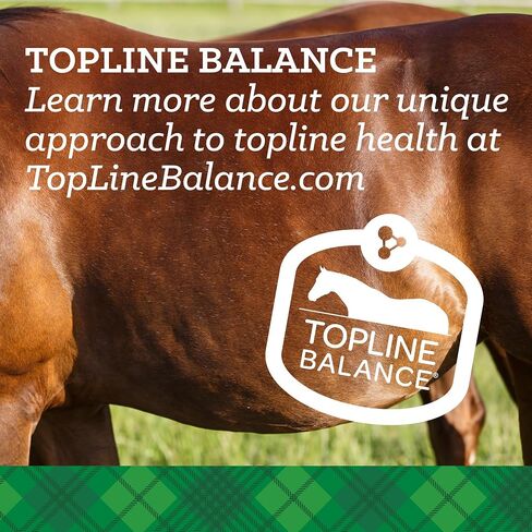 Nutrena® SafeChoice® Original Horse Feed in Kuwait