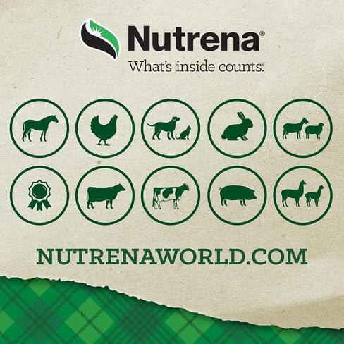 Nutrena® SafeChoice® Original Horse Feed in Kuwait