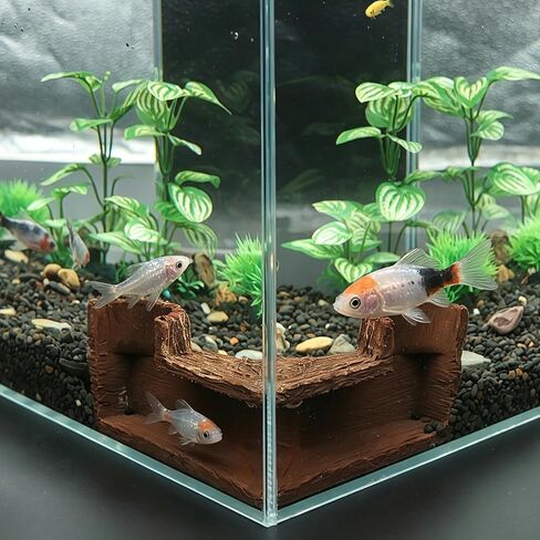 AQUA KT Aquarium Tunnel Fish Hideout Cave for Betta Cory Loach Pleco Shrimp in Kuwait