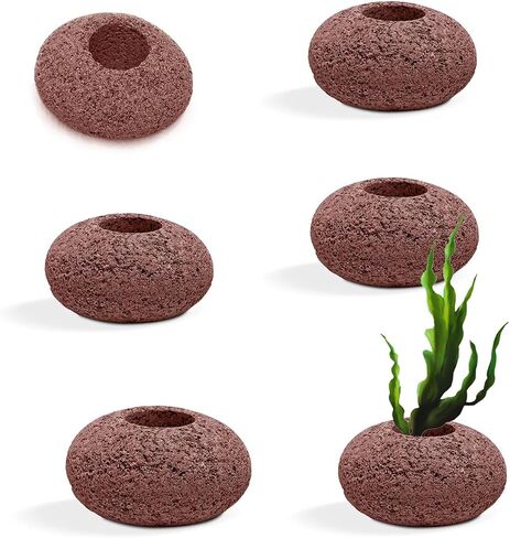 Aquarium Plant Weights, Aquarium Decorations Landscape Stones (6Pcs) in Kuwait