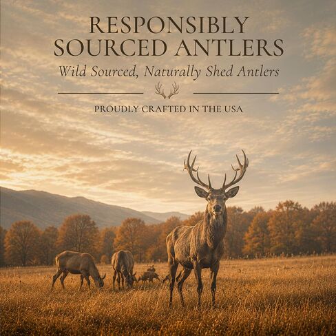 WhiteTail Naturals 6 Pack Split Elk & Deer Antlers for Medium to Large Dogs in Kuwait
