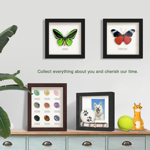 FrameWorks 8" x 8" Golden Oak Wooden Shadow Box Frame – Display Case with Soft Felt Back, Memory Box with Tempered Glass, Display Box with Elegant White Ball Push Pins, Wooden Flower Box in Kuwait