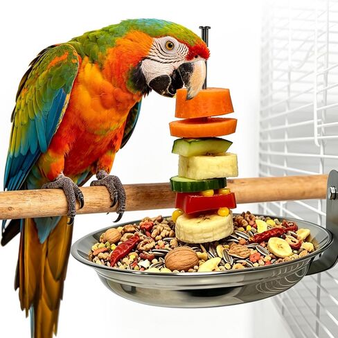 Bird Cage Feeder for Vegetable & Fruit, Parrot Fruit Holder with Dish Bowl Design to Keep Clean, No Mess Bird Food Suitable for All Parrot Breeds and Sizes. (Small) in Saudi Arabia