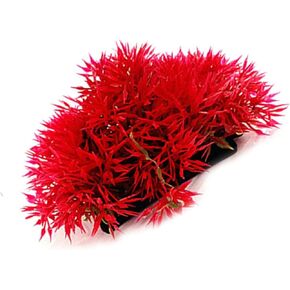 Xinjincang Red Artificial Flowers, Fake Flowers, Artificial Pine with Base Grass Fish Tank Ornament Aquatic Plant Landscape Decor, Aquarium Décor, Pet Supplies