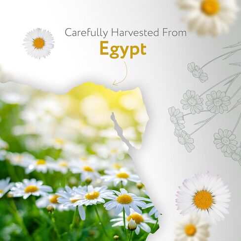 زيت البابونج العطري من HBNO - 1/3 أونصة (10 مل) حجم مناسب للسفر - البابونج وMCT - مثالي للسفر والعلاج العطري والتدليك والعطور والمرطب. in Kuwait