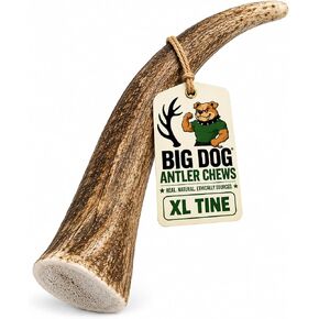 Big Dog Antler Chews Elk Antler Dog Chew, Extra Large Tine, 8-12 inches, XL - Great for Large Dogs and Puppies in Saudi Arabia