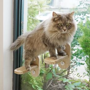 PETKARAY Cat Window Shelf, Original Cat Window Perch Stairs, Durable Kitty Seat for Window Sill, Sturdy Window Step for Indoor Cats in Saudi Arabia
