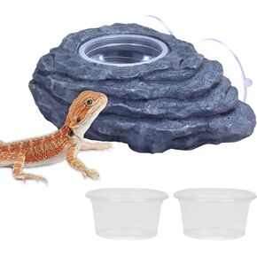 AIICIOO Gecko Feeder Ledge with 6 Pack Plastic Bowls Crested Gecko Food Dish Strong Magnetic Reptile Food Feeder Water Dish for Chameleon Bearded Dragon Tank Accessories in Kuwait