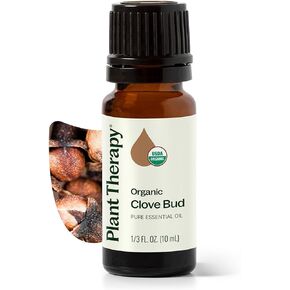 Plant Therapy Organic Clove Bud Essential Oil 100% Pure, USDA Certified Organic, Undiluted, Natural Aromatherapy, Therapeutic Grade 10 mL (1/3 oz) in Saudi Arabia