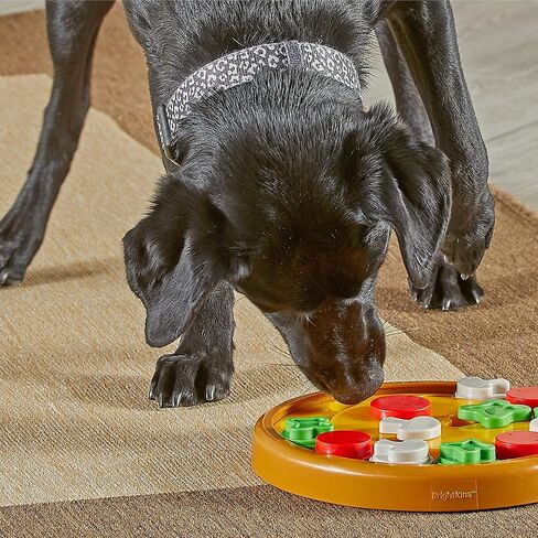 Brightkins Pizza Party Treat Puzzle in Saudi Arabia
