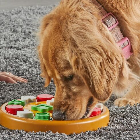 Brightkins Pizza Party Treat Puzzle in Saudi Arabia