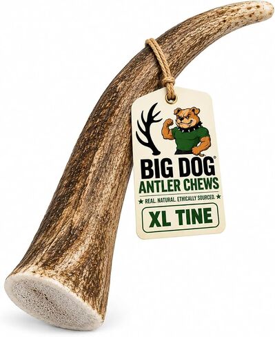 Big Dog Antler Chews Elk Antler Dog Chew, Extra Large Tine, 8-12 inches, XL - Great for Large Dogs and Puppies in Saudi Arabia