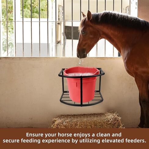 Bucket Holder for Horses Feed,5 Gallon Water in Saudi Arabia