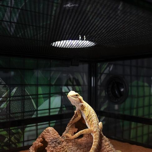 REPTI ZOO UVB Light Bulb for Reptile, 5.0 & 10.0 UVB UVA Reptile Light Bulb for Turtles Bearded Dragon Gecko Lizard Snake, Full Spectrum Sun Lamp Energy-Efficient & Natural Sunlight Simulation in Kuwait
