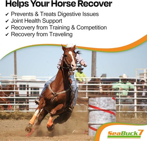 SeaBuck 7 Equine Sea Buckthorn Supplement for Horses, 1 Gallon in Kuwait