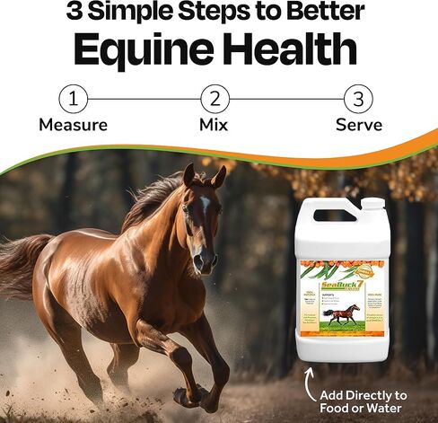 SeaBuck 7 Equine Sea Buckthorn Supplement for Horses, 1 Gallon in Kuwait