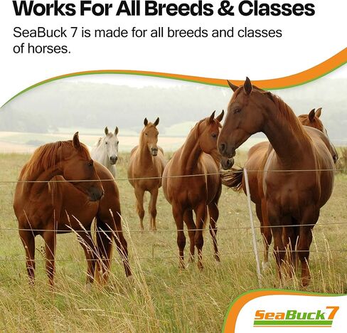SeaBuck 7 Equine Sea Buckthorn Supplement for Horses, 1 Gallon in Kuwait
