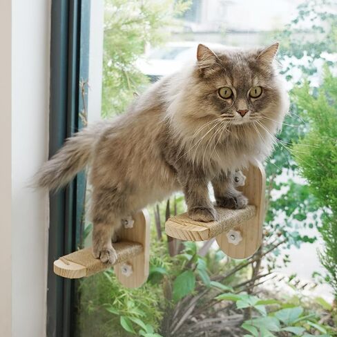 PETKARAY Cat Window Shelf, Original Cat Window Perch Stairs, Durable Kitty Seat for Window Sill, Sturdy Window Step for Indoor Cats in Saudi Arabia