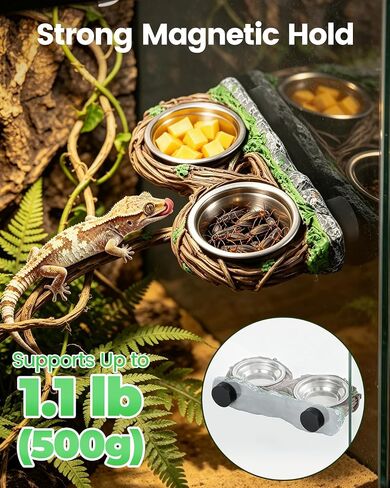 Magnetic Reptile Feeder Ledge with Dual Stainless Bowls,for Gecko Chameleon in Saudi Arabia