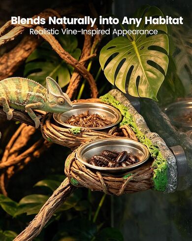 Magnetic Reptile Feeder Ledge with Dual Stainless Bowls,for Gecko Chameleon in Saudi Arabia