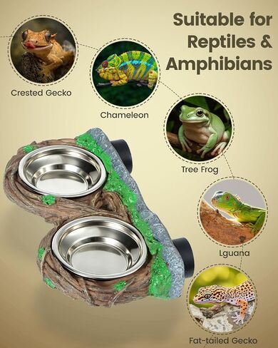 Magnetic Reptile Feeder Ledge with Dual Stainless Bowls,for Gecko Chameleon in Saudi Arabia